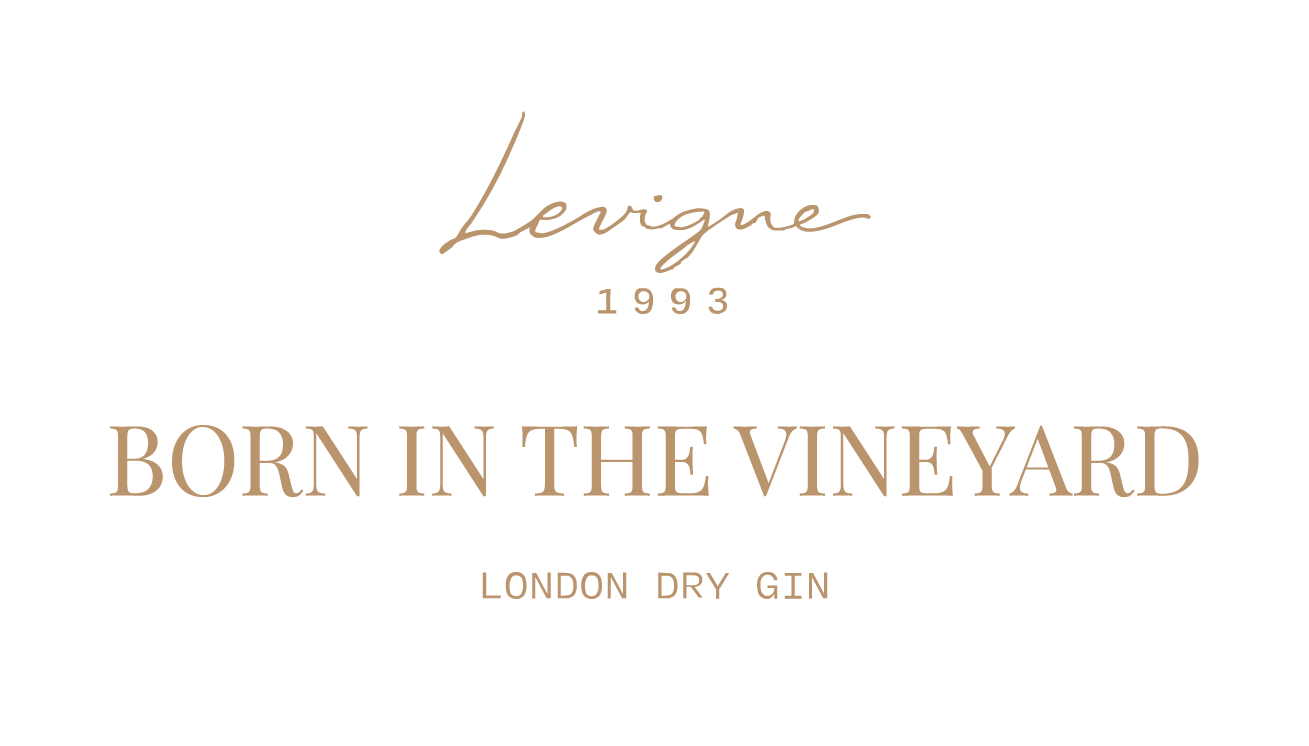 Levigne 1993
