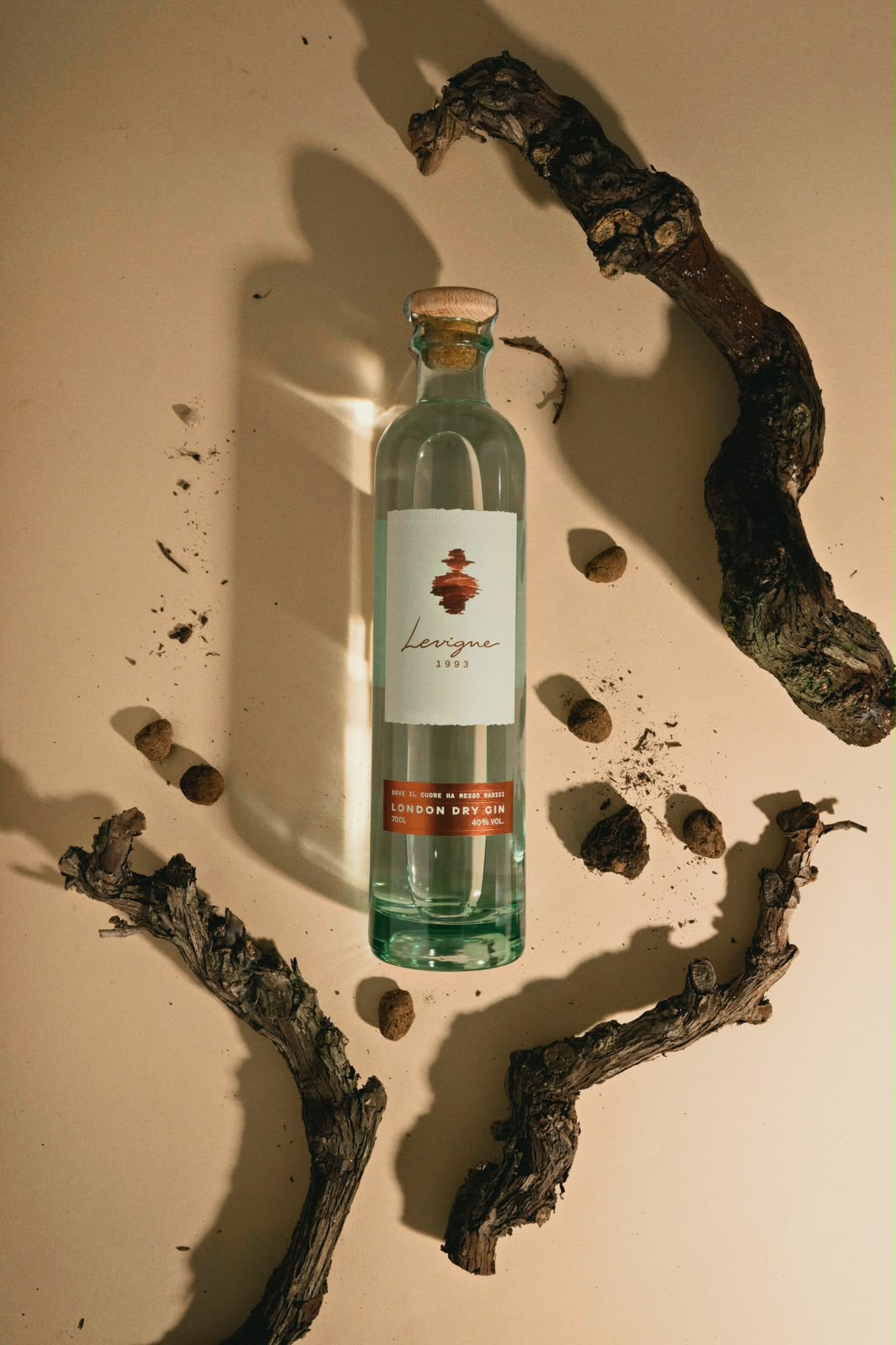 Levigne 1993